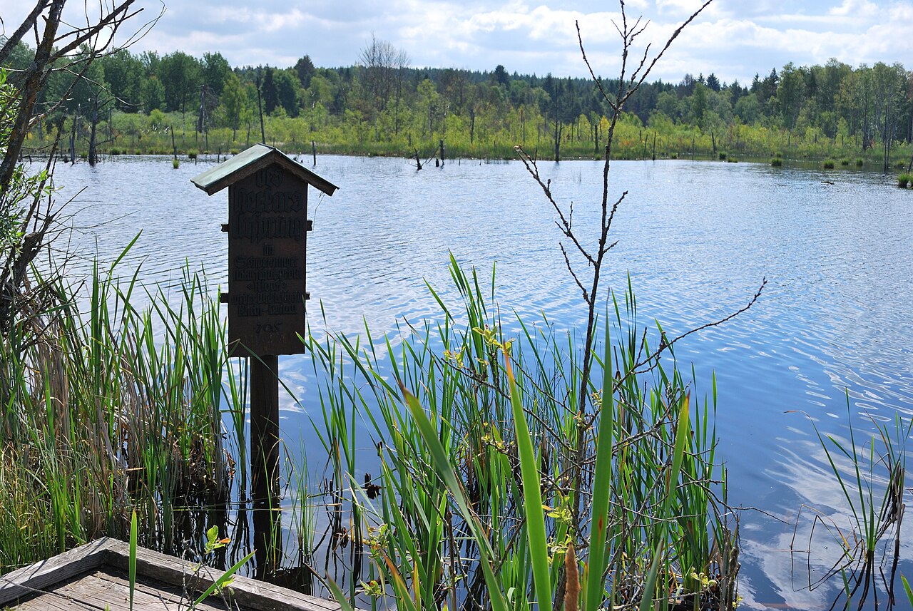 Foto von Schwenninger Moos