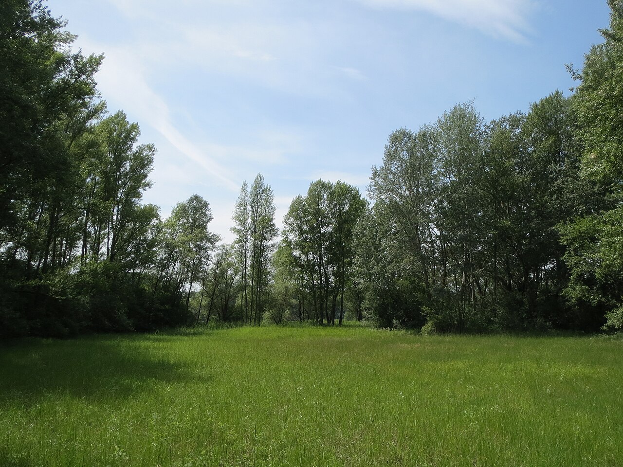 Naturschutzgebiet Schwetzinger Wiesen-Riedwiesen
