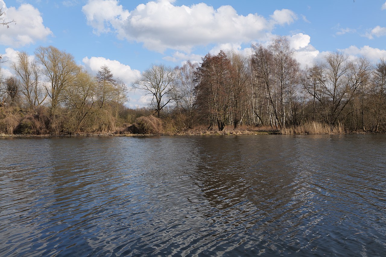 Schwimmhafenwiesen in der Havel zwischen Hennigsdorf und Heiligensee vom westlichen Havelufer aus am 5