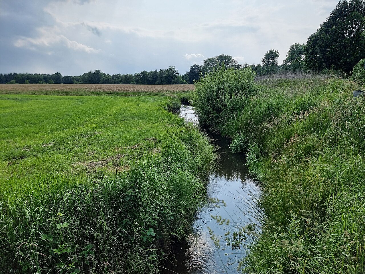 Schwinge at nature reserve Schwingetal