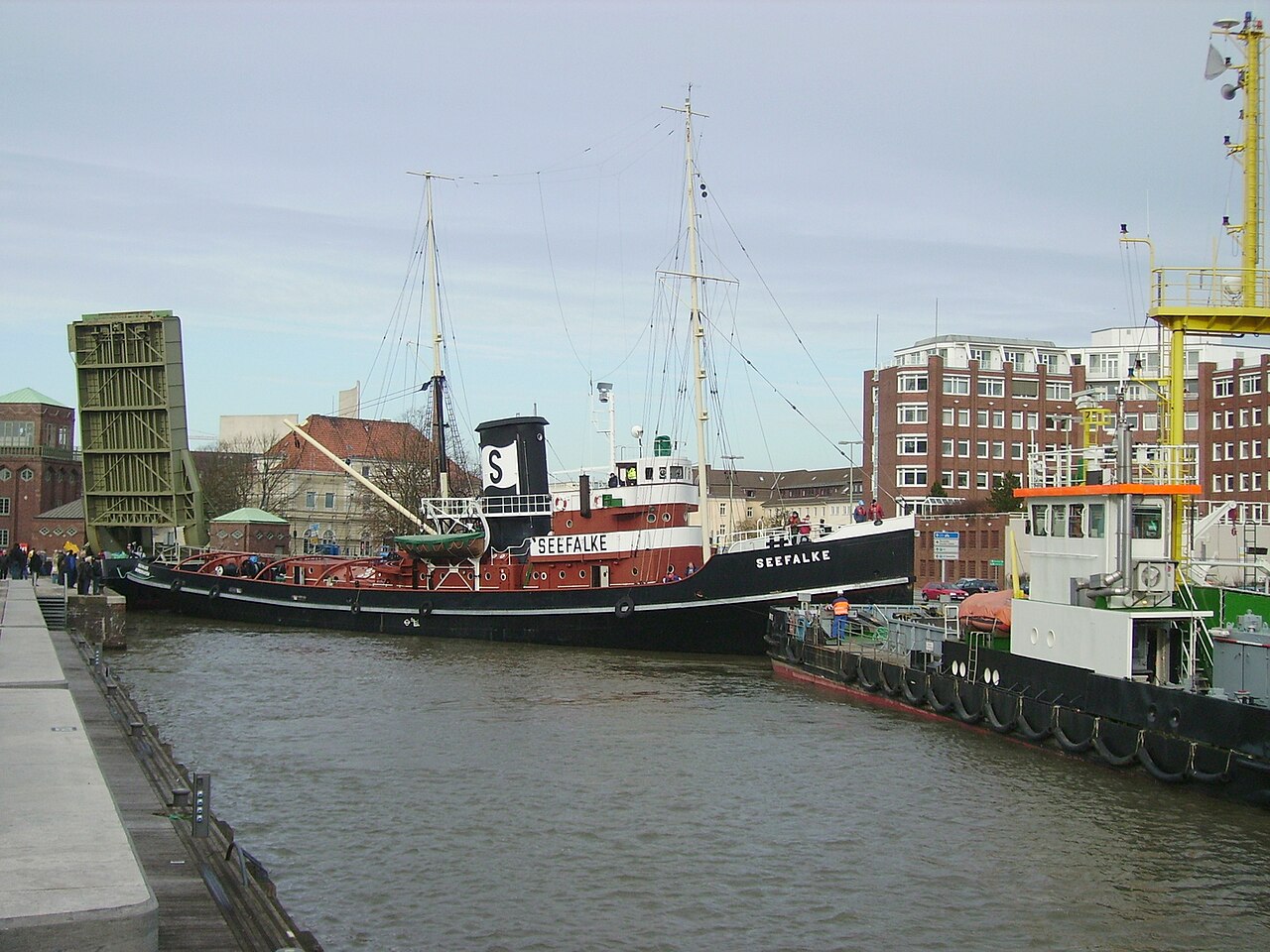 Foto von Seefalke
