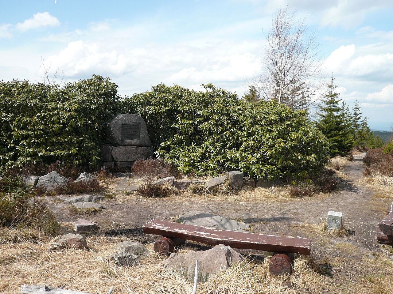 On the summit of Seekopf, a mountain in the Black Forest to the east of Badener Hoehe