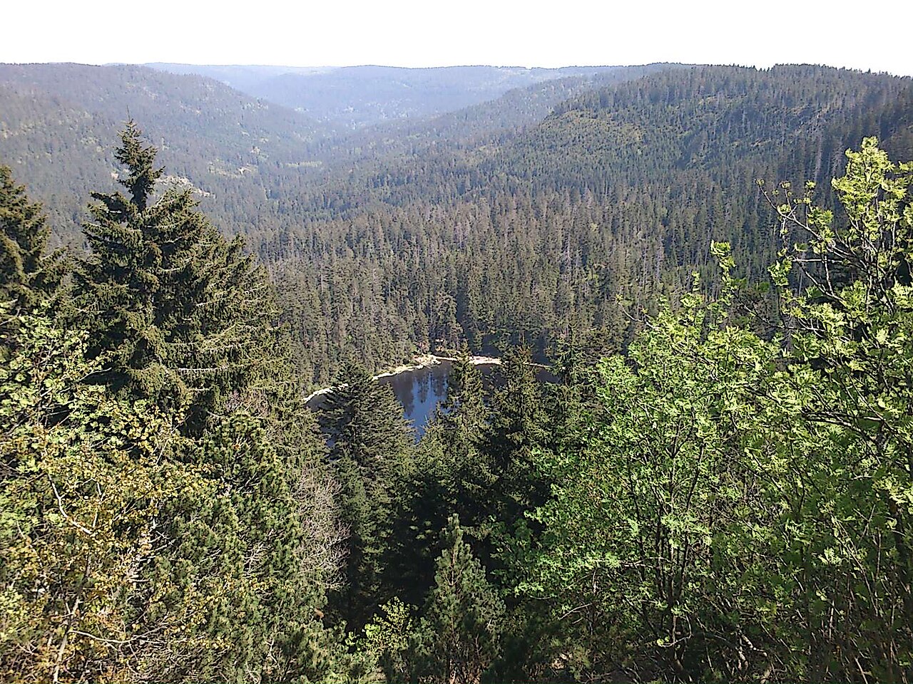 Wildseeblick vom Seekopf im Nationalpark Schwarzwald, Bannwald und Naturschutzgebiet Wilder See - Hornisgrinde