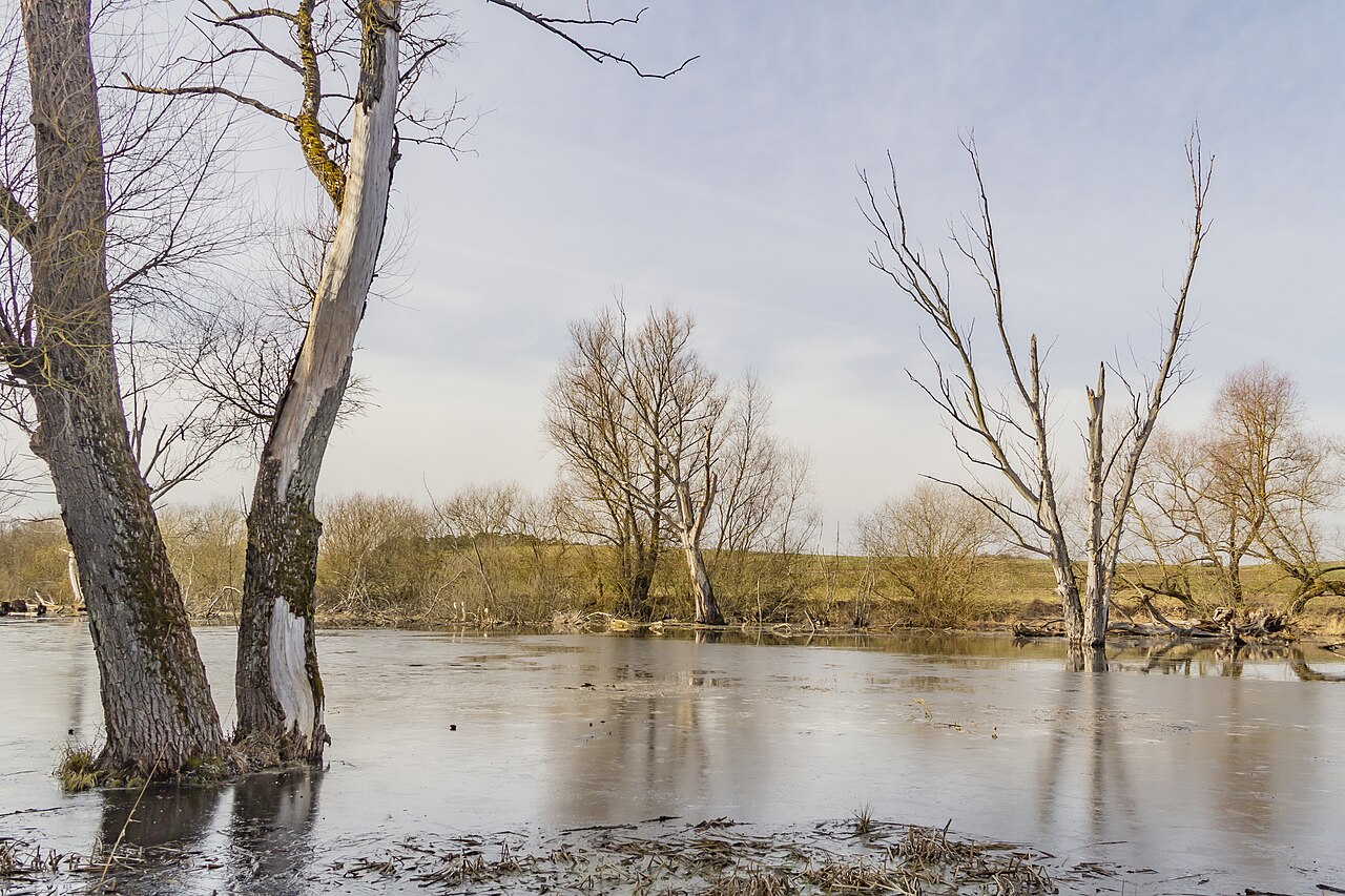 Foto von Seen- und Bruchlandschaft südlich Alt Gaarz
