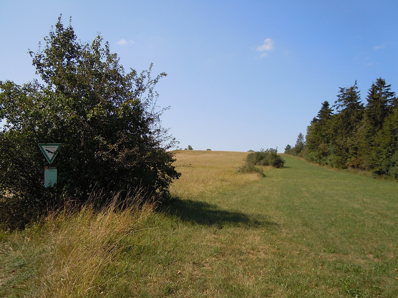 Naturschutzgebiet "Seetalhalde-Galgenberg" (Schutzgebiets-Nr