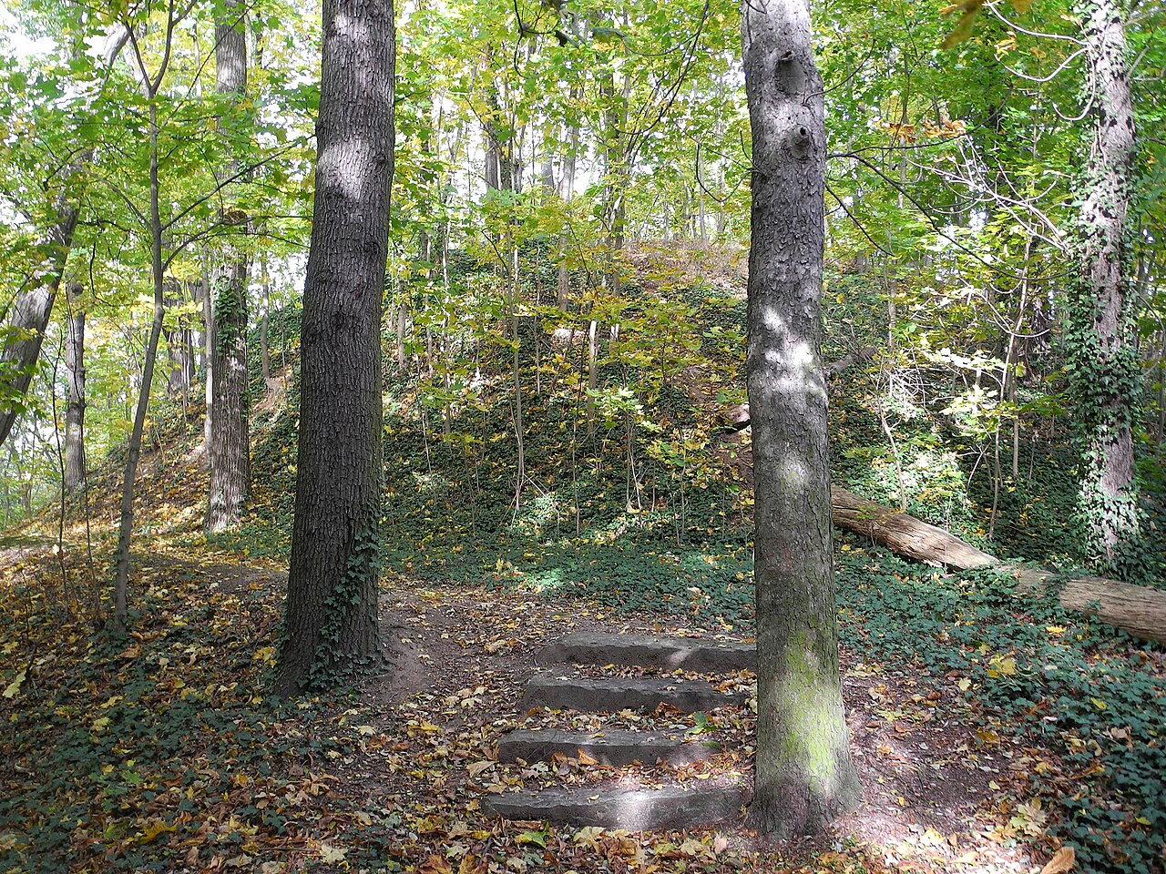 Seitschener Schanze (altslawische Höhenburg) am östlichen Ufer des Langen Wassers