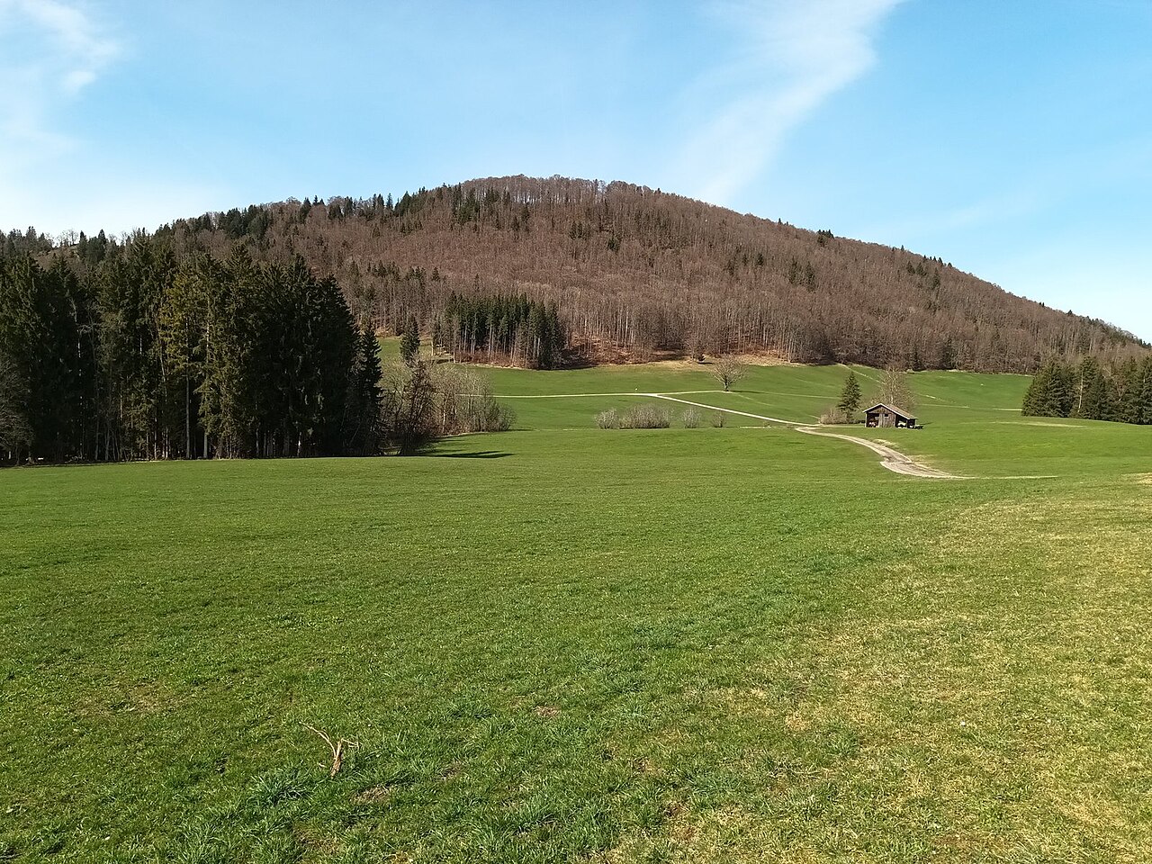 Der Senkelekopf (1047 m) in der Gemeinde Roßhaupten