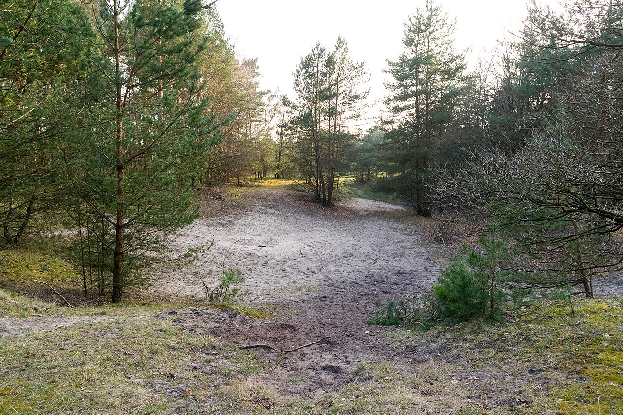 Naturschutzgebiet Senne nördlich Oesterholz