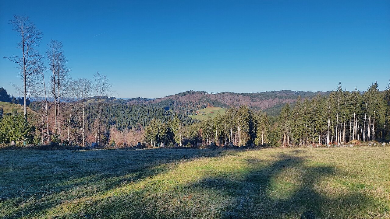 Sephenhöhe in the mountain range of Adelegg, view from south