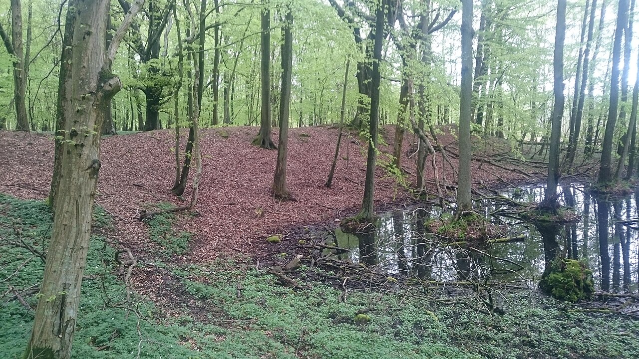 Der Serpin: Blick nach Osten vom Durchgang zwischen beiden Teilen auf den südlichen Wallabschnitt, 2015