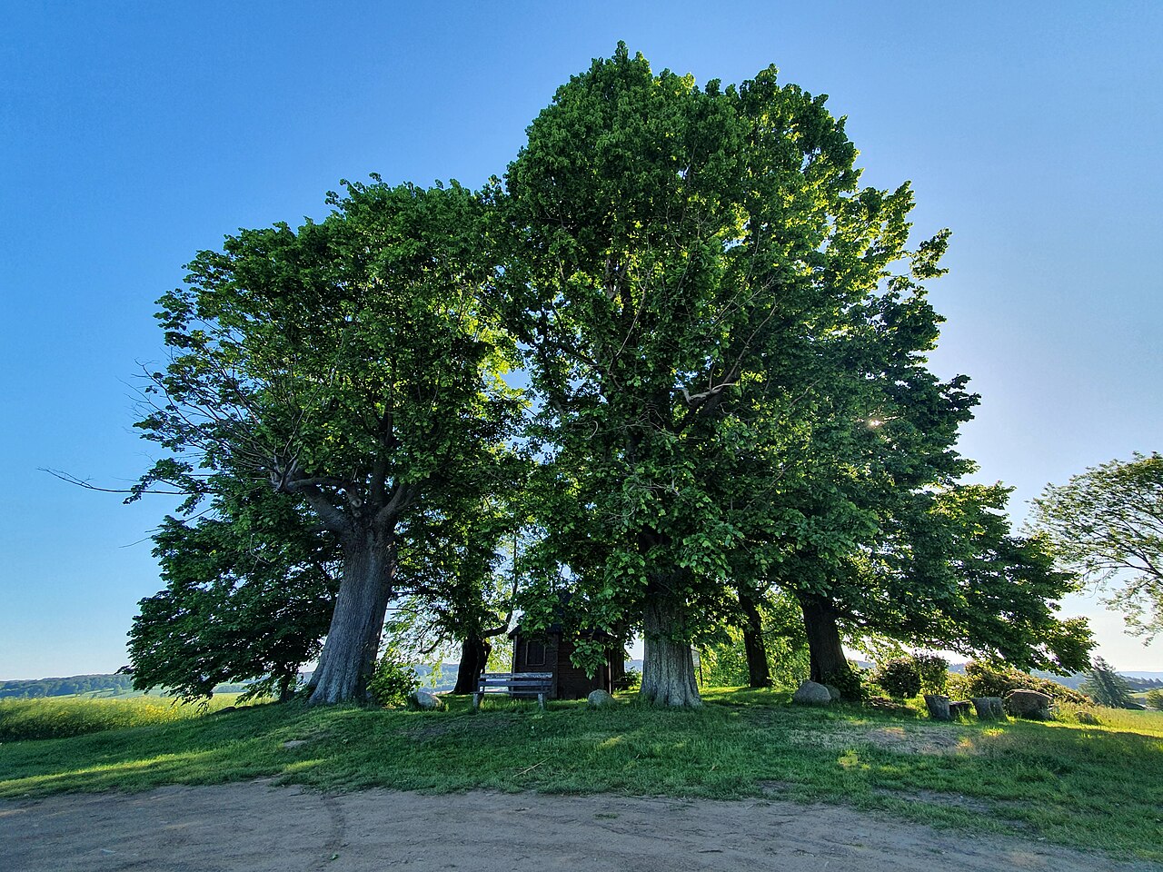 Sieben Linden (Steinigtwolmsdorf)