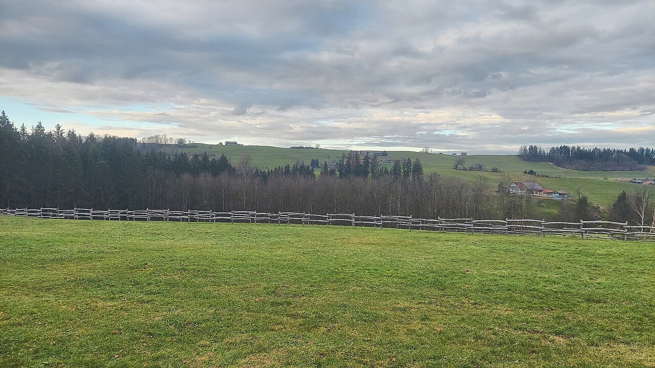 Siggener Höhe, view from near Willatz to the north