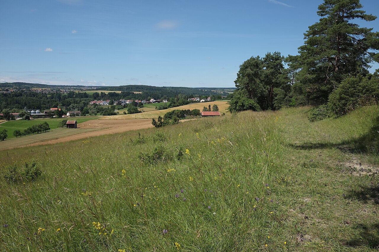 Naturschutzgebiet Silberberg in Tiefenbronn, Enzkreis, Blick Richtung Mühlhausen