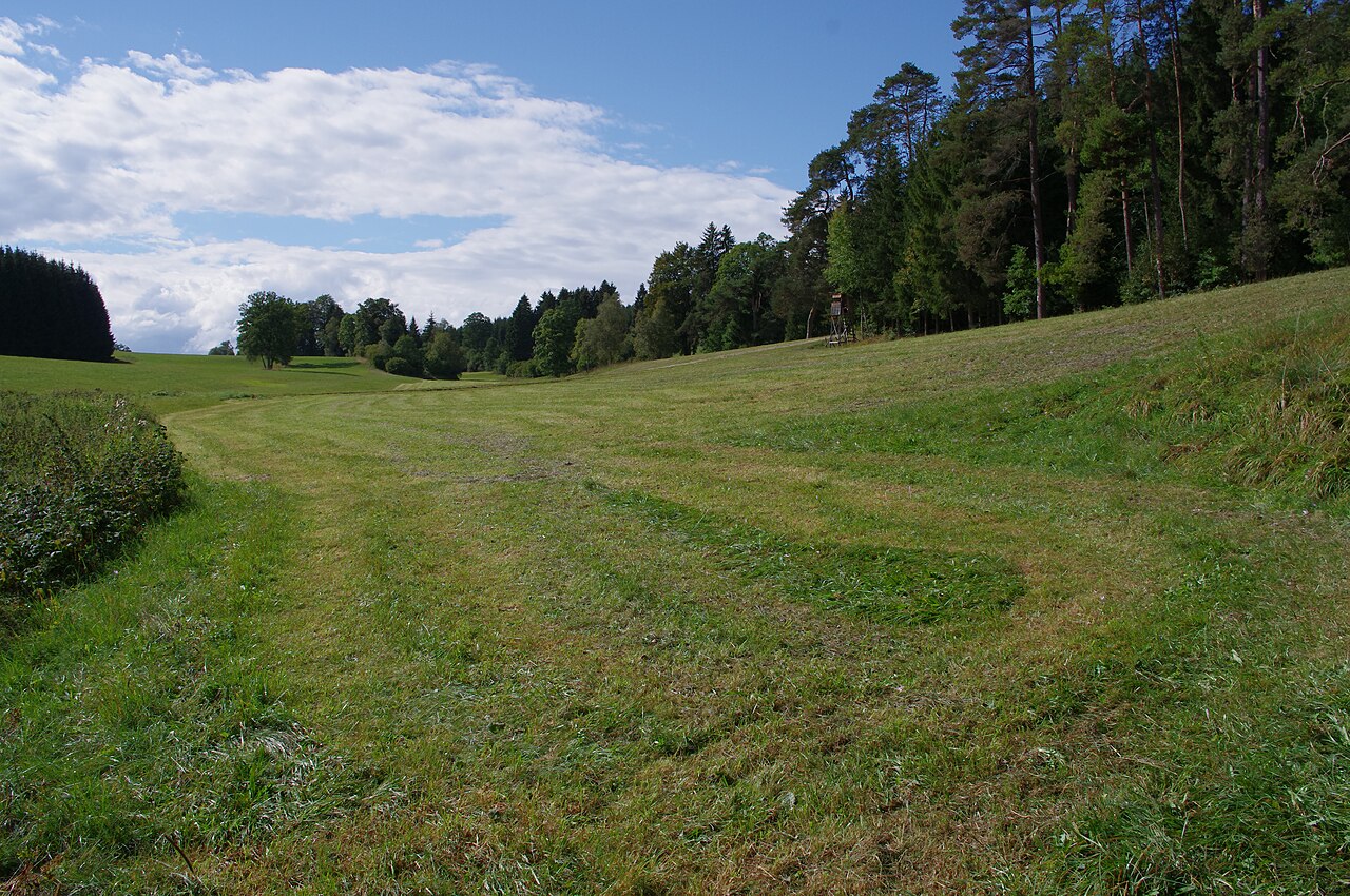 NSG Simonsthal, Irndorf (Landkreis Tuttlingen, Baden-Württemberg, Deutschland)