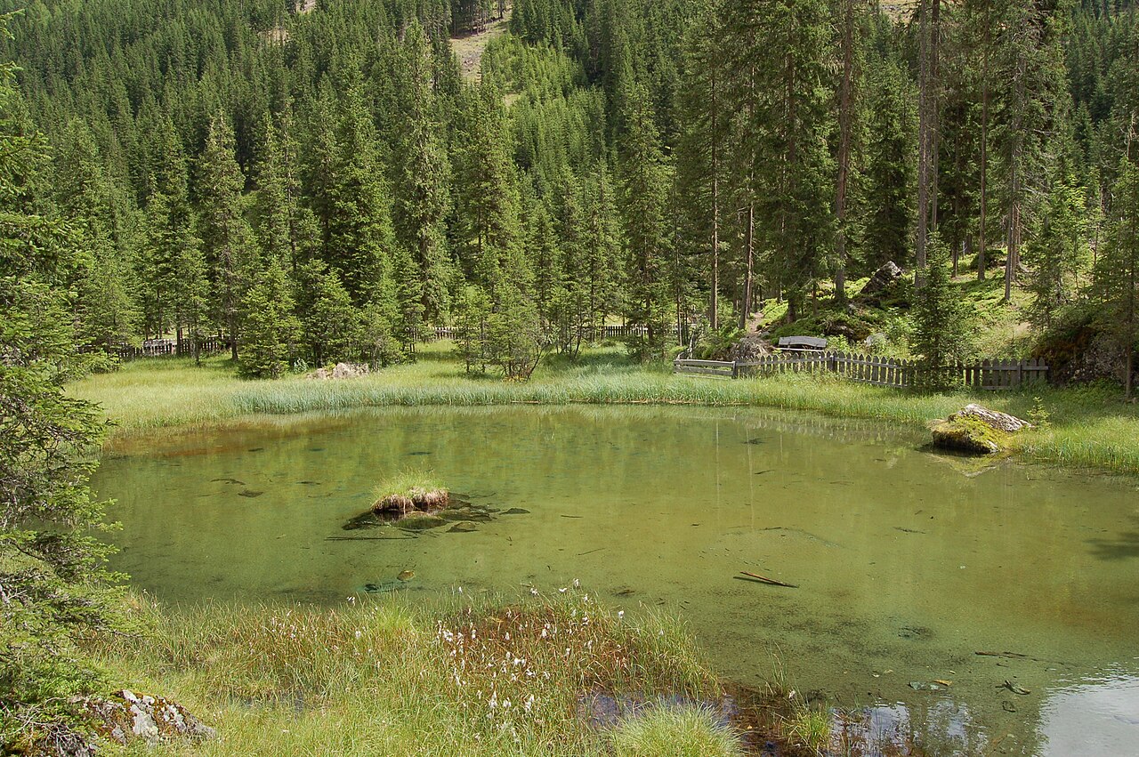 This image was uploaded as part of Wiki Loves Earth 2014