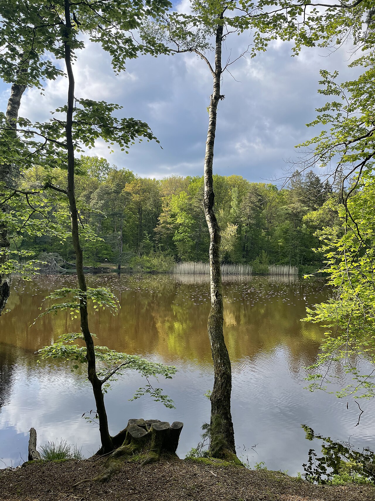 lake in Sippersfeld