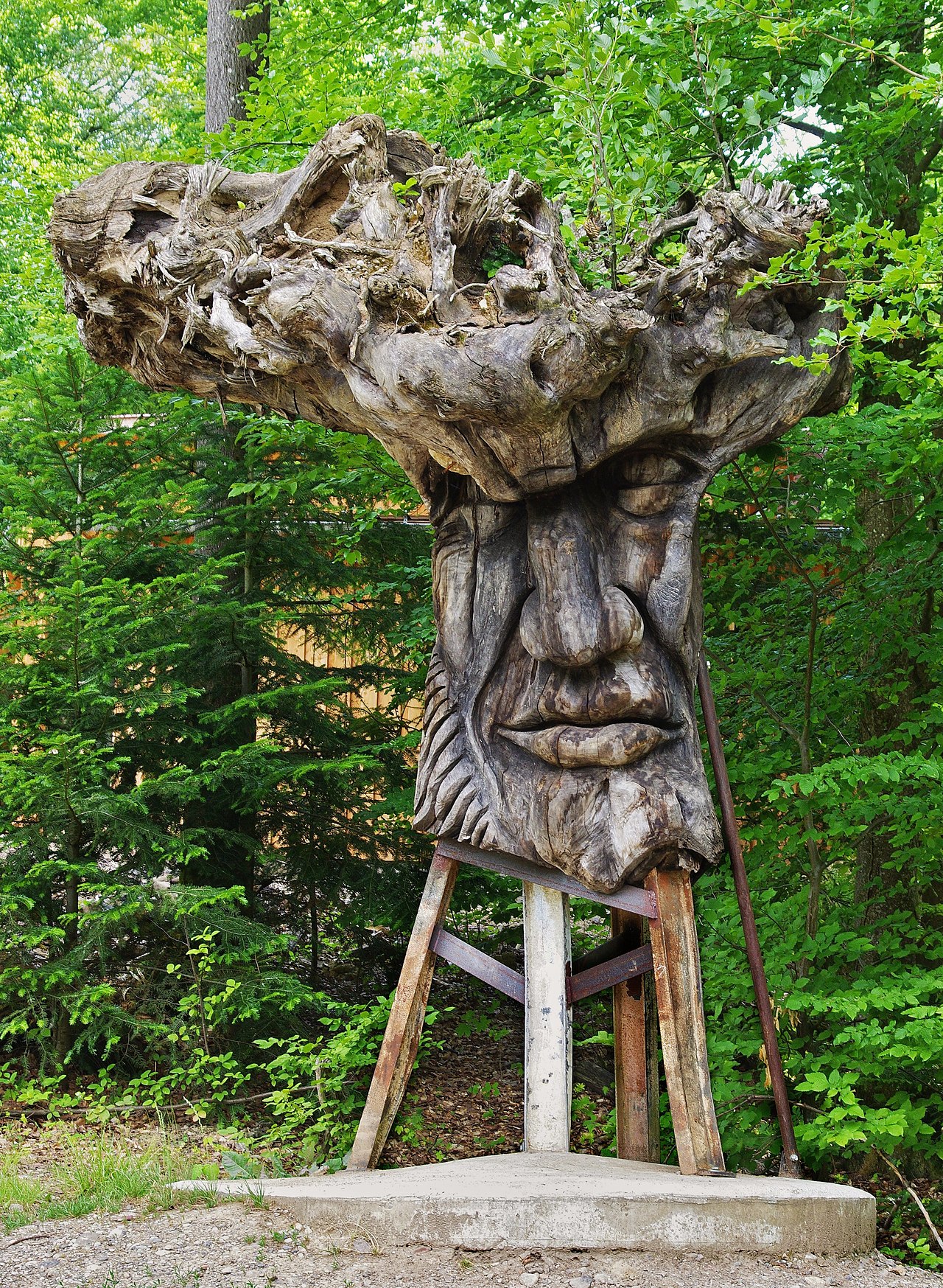 Der Wurzelkopf WaldMenschen von Thomas Rees ein ständige Ausstellung auf dem Skulpturenpfad des Waldhaus Freiburg