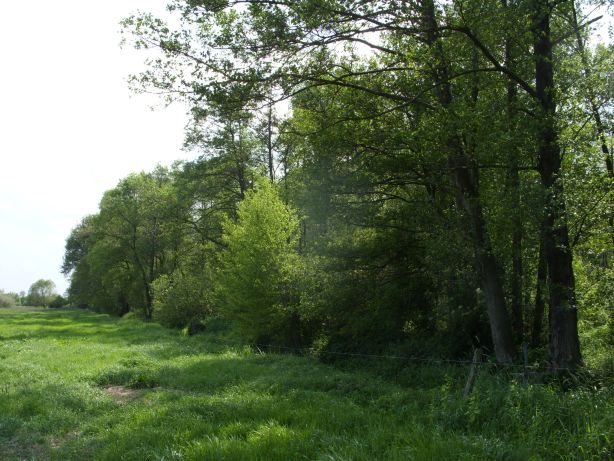 Naturschutzgebiet Sodenstich, Bremen-Borgfeld
