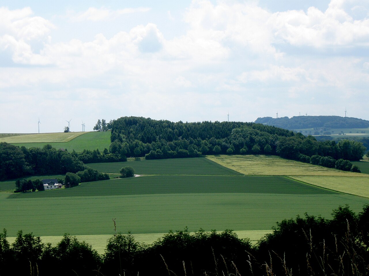 Solterberg (Nordseite) in Exter , Vlotho , Kreis Herford , Nordrhein-Westfalen