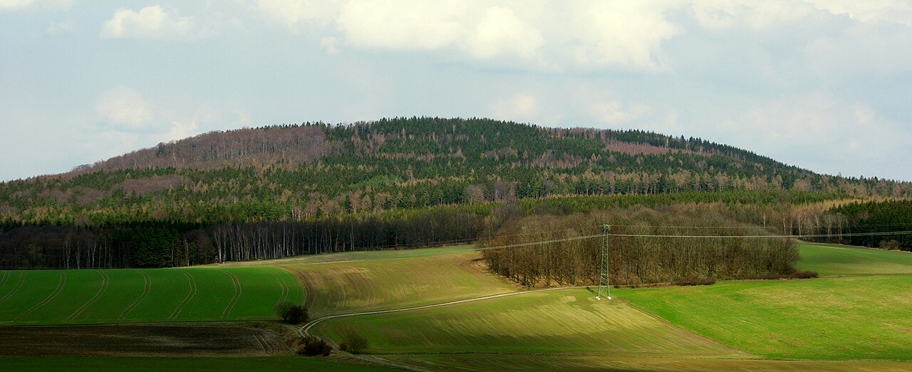 The forest Königsholz near Oderwitz in Germany