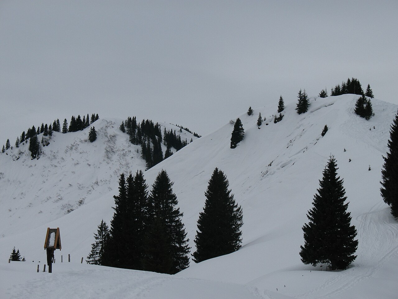 Blick nach Süden auf Sonnenkopf (rechts, 1712 m) und Heidelbeerkopf (links, 1767 m)