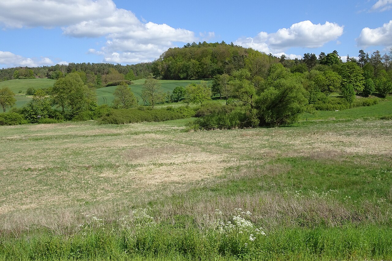Foto von Sorgwiesen bei Weißenhasel
