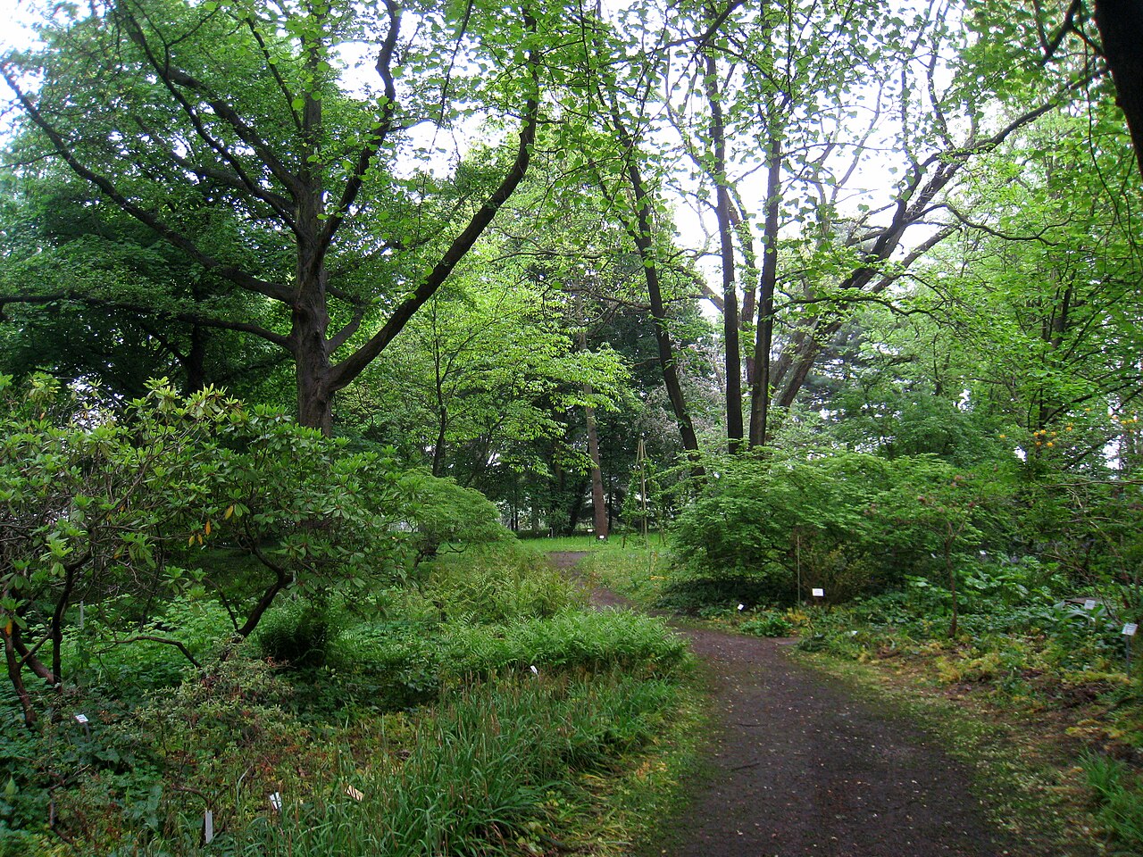 Späth-Arboretum, Berlin, Germany