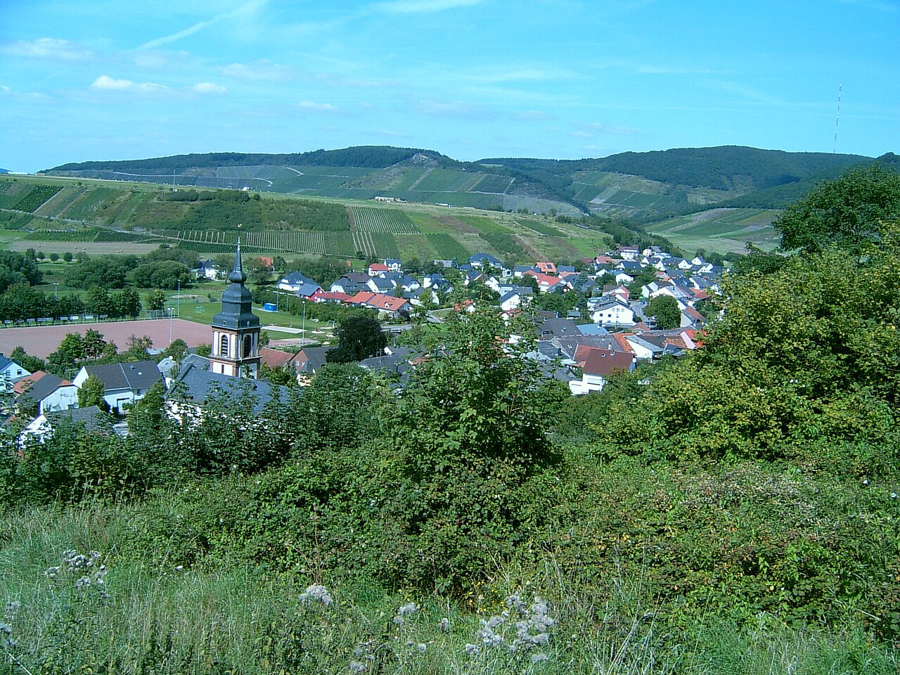 Irsch im Sommer