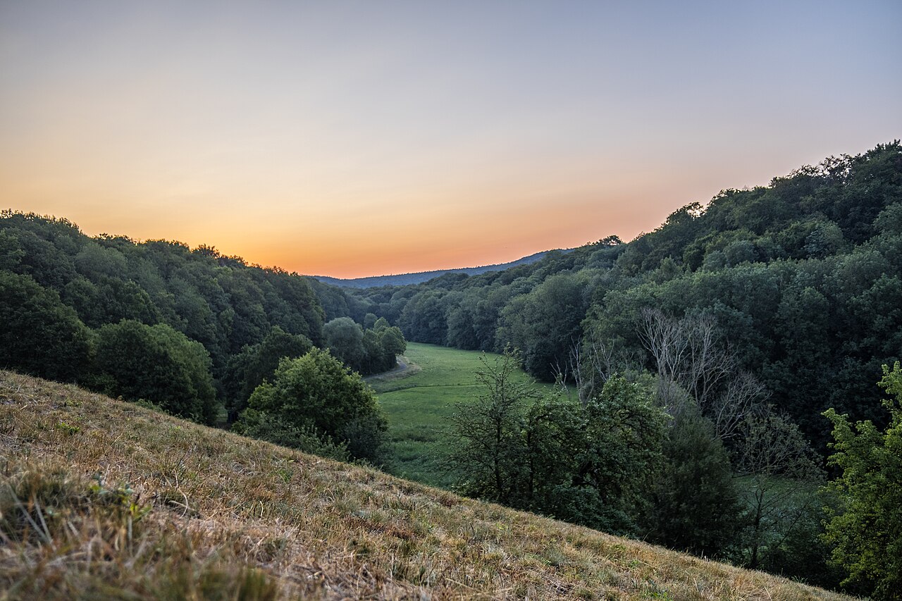 Blick in den Spitalgrund nördlich von Prüßberg