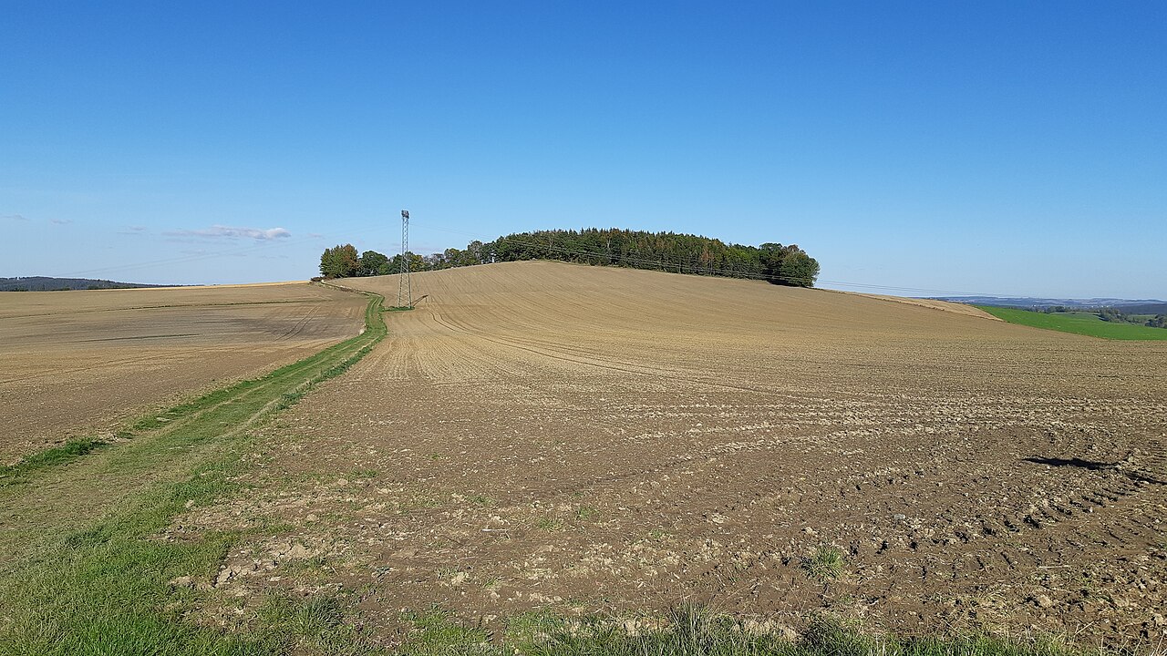 Blick aus südwestlicher Sicht auf den Spitzberg südlich von Chemnitz-Altenhain