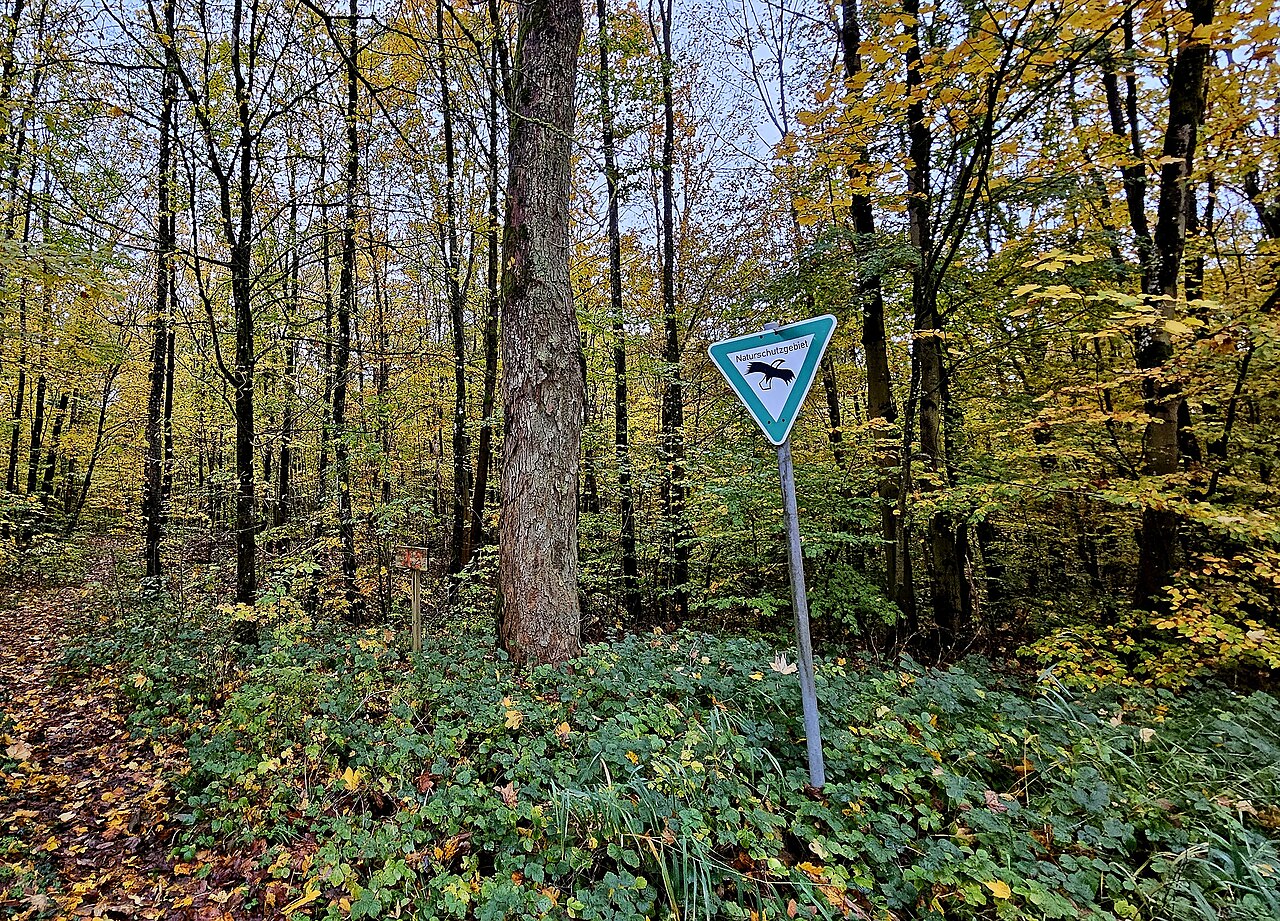 Blick in das NSG Spitzberge bei Ebrach