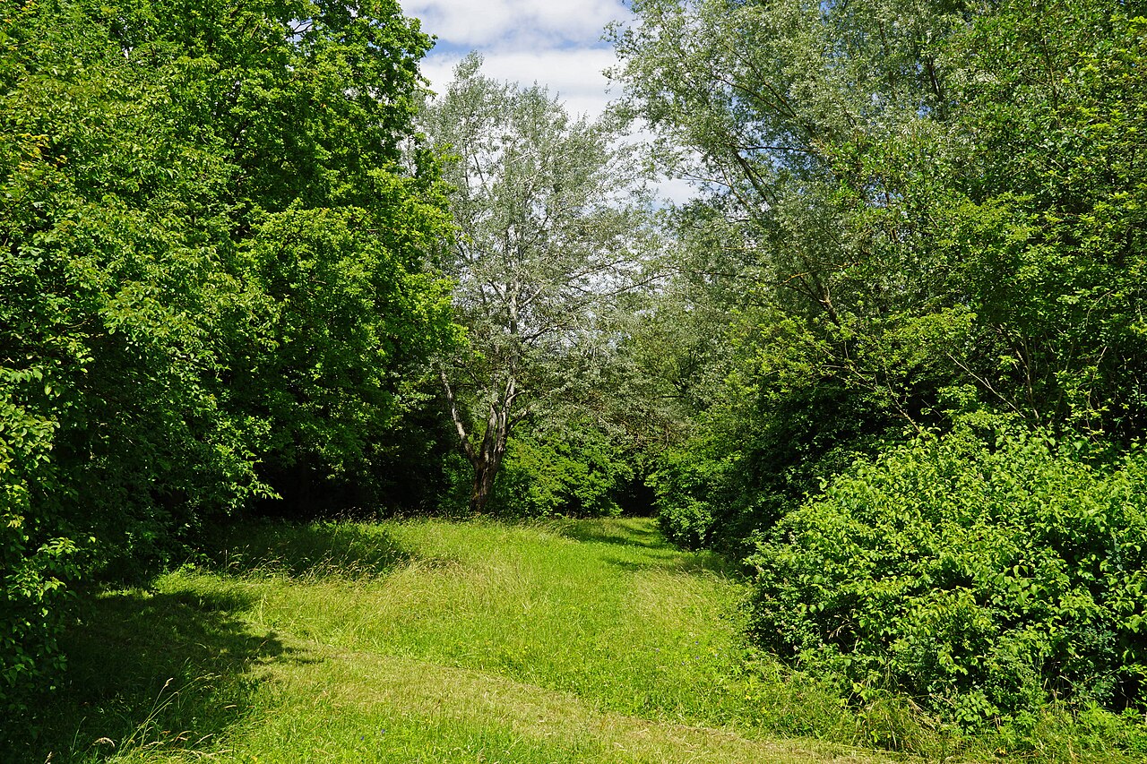 Zaberfeld, beim Michelbachsee 07/2016