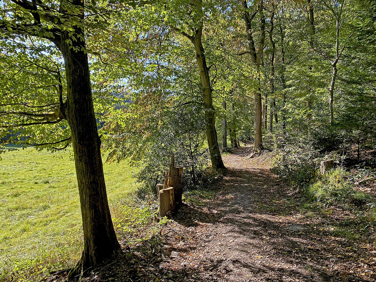 Wanderweg (Wappenweg um Ennepetal) entlang des Spreeler Baches im Naturschutzgebiet Spreeler Bachtal