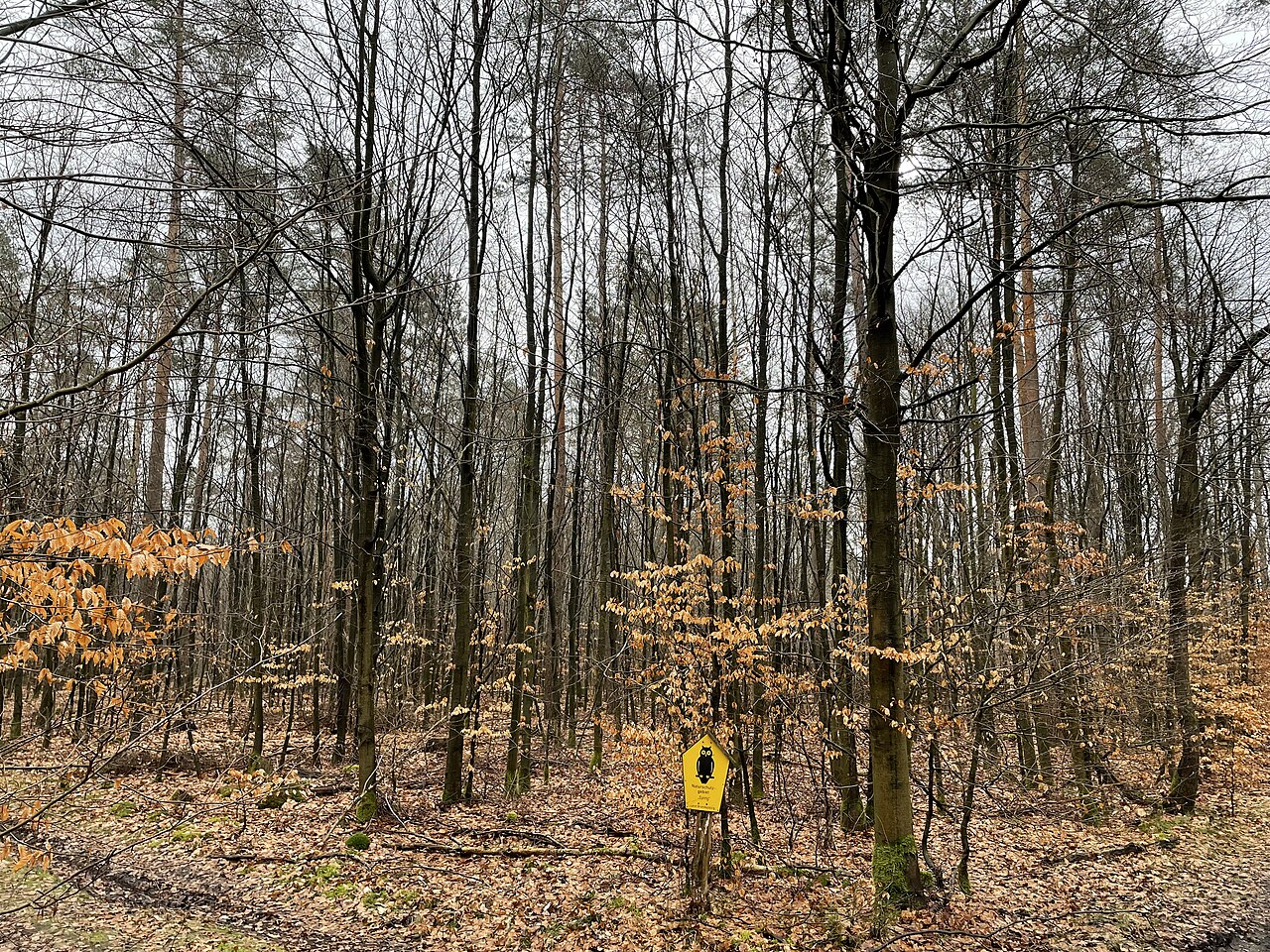 Spring (Naturschutzgebiet), Naturschutzgebiet im Landkreis Potsdam-Mittelmark in Brandenburg