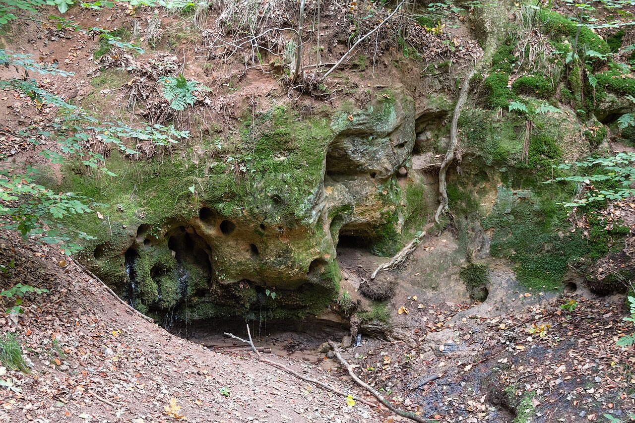 Sprosselbrunnen, Geotop, LSG Schwarzachtal mit Nebentälern