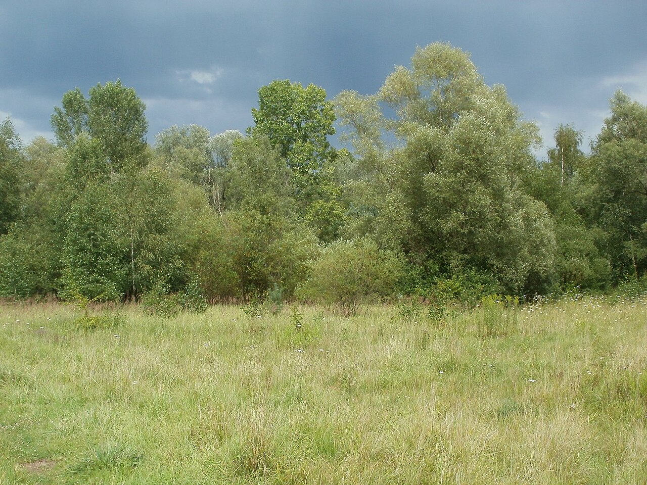 Naturschutzgebiet "St