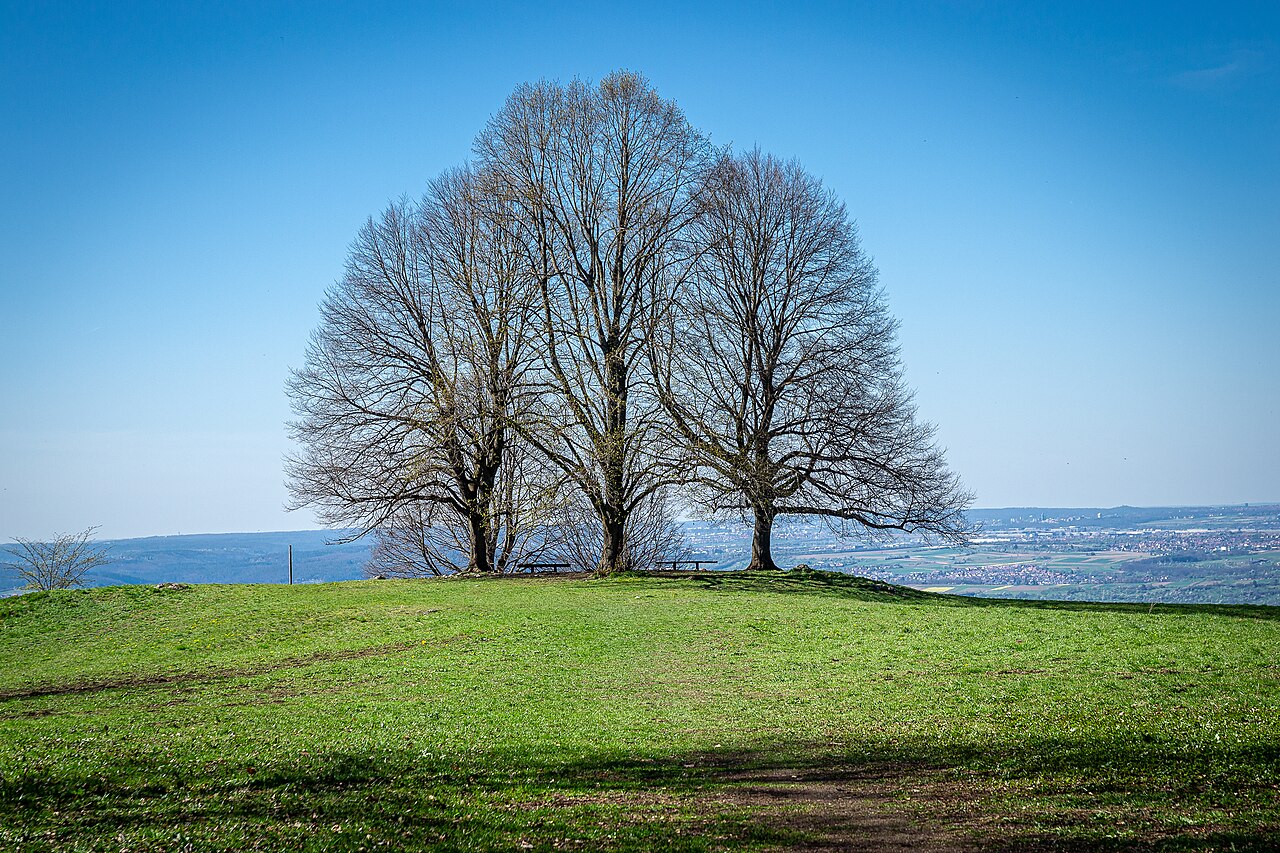 Foto von St Theodors Buckel
