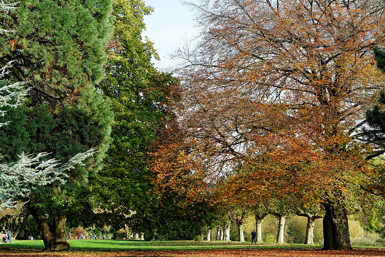 500px provided description: Am Staden in Saarbr?cken [#park ,#leaves ,#nature ,#fall ,#Saarbr?cken ,#Staden ,#Saar]