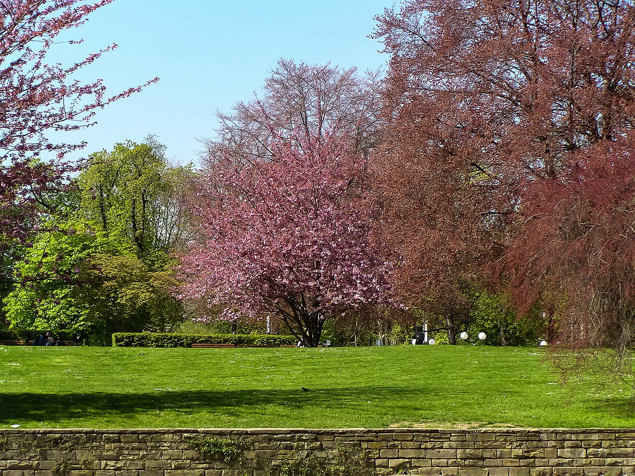 Der Bonner Stadtgarten am Alten Zoll