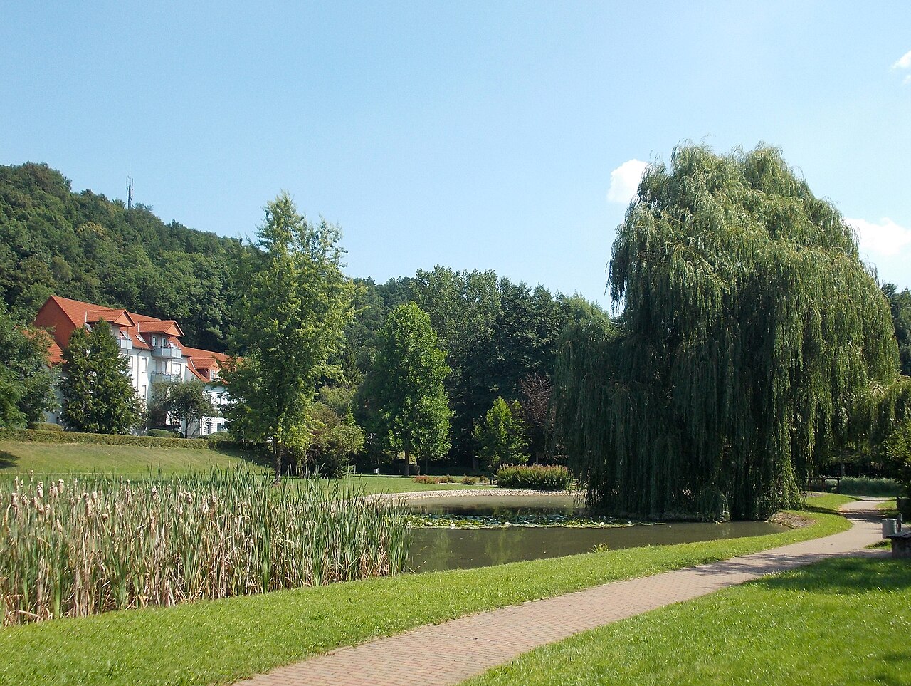 Pond in the municipal park in Schmölln (Altenburger Land district, Thuringia)