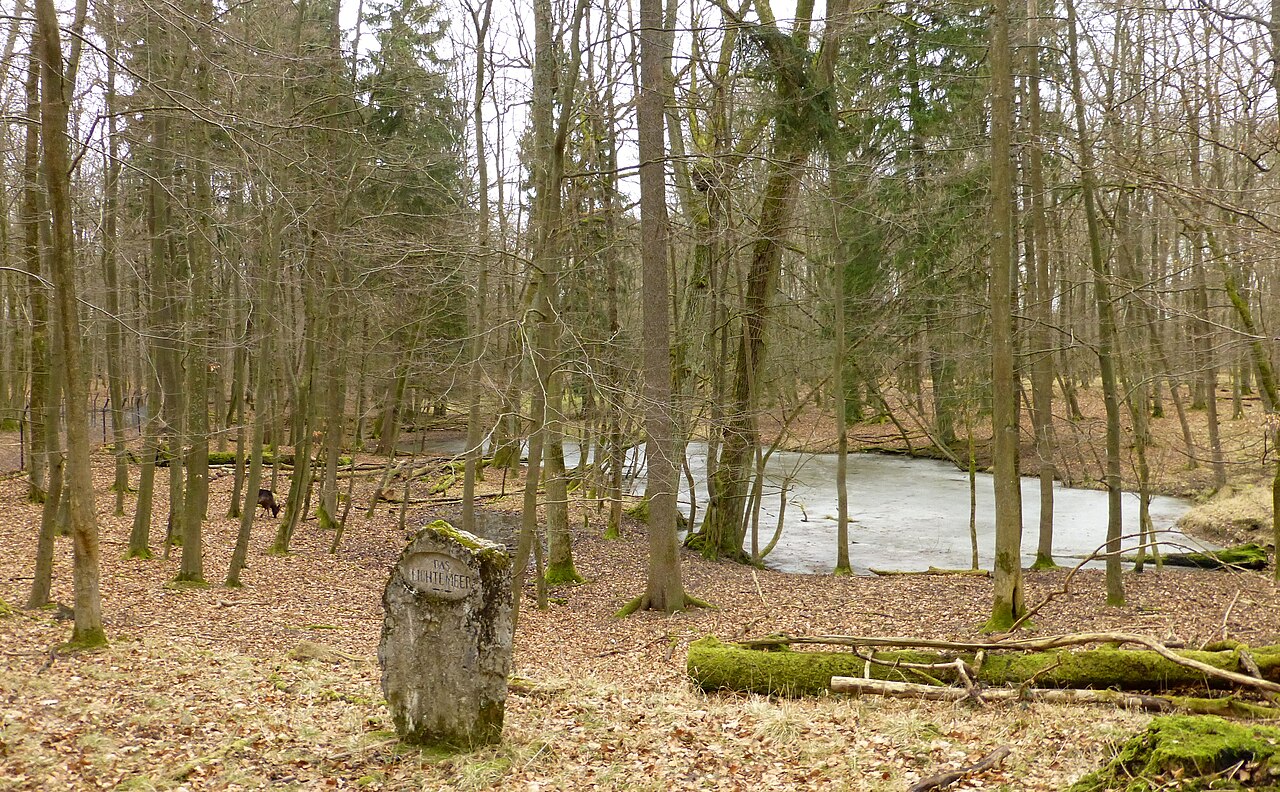 Foto von Stadtwald Göttingen und Kerstlingeröder Feld