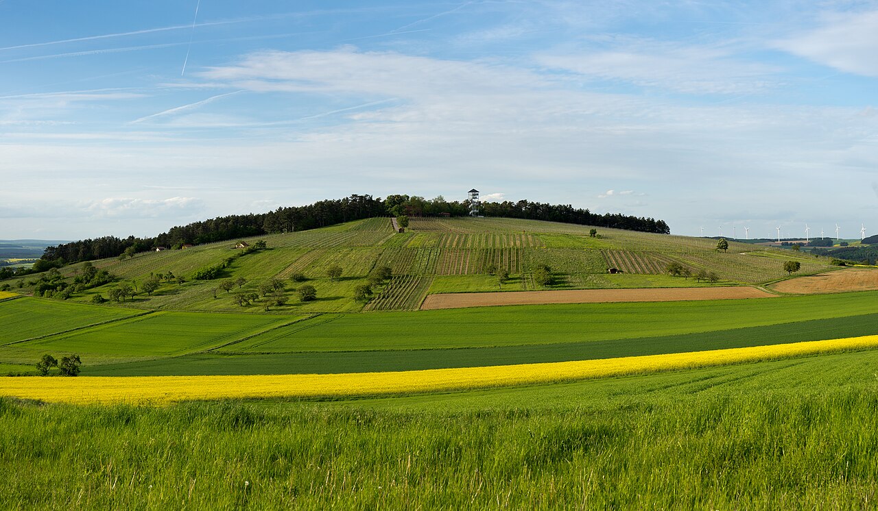 Kapellenberg (also Stahlberg) near Uissigheim , seen from the south