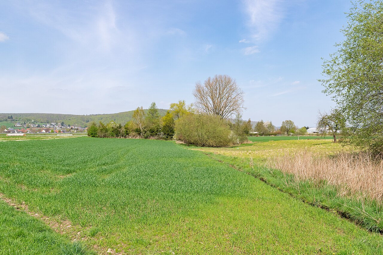 Naturschutzgebiet Stahler Ufer an der Weser in Höxter-Stahle, Kreis Höxter