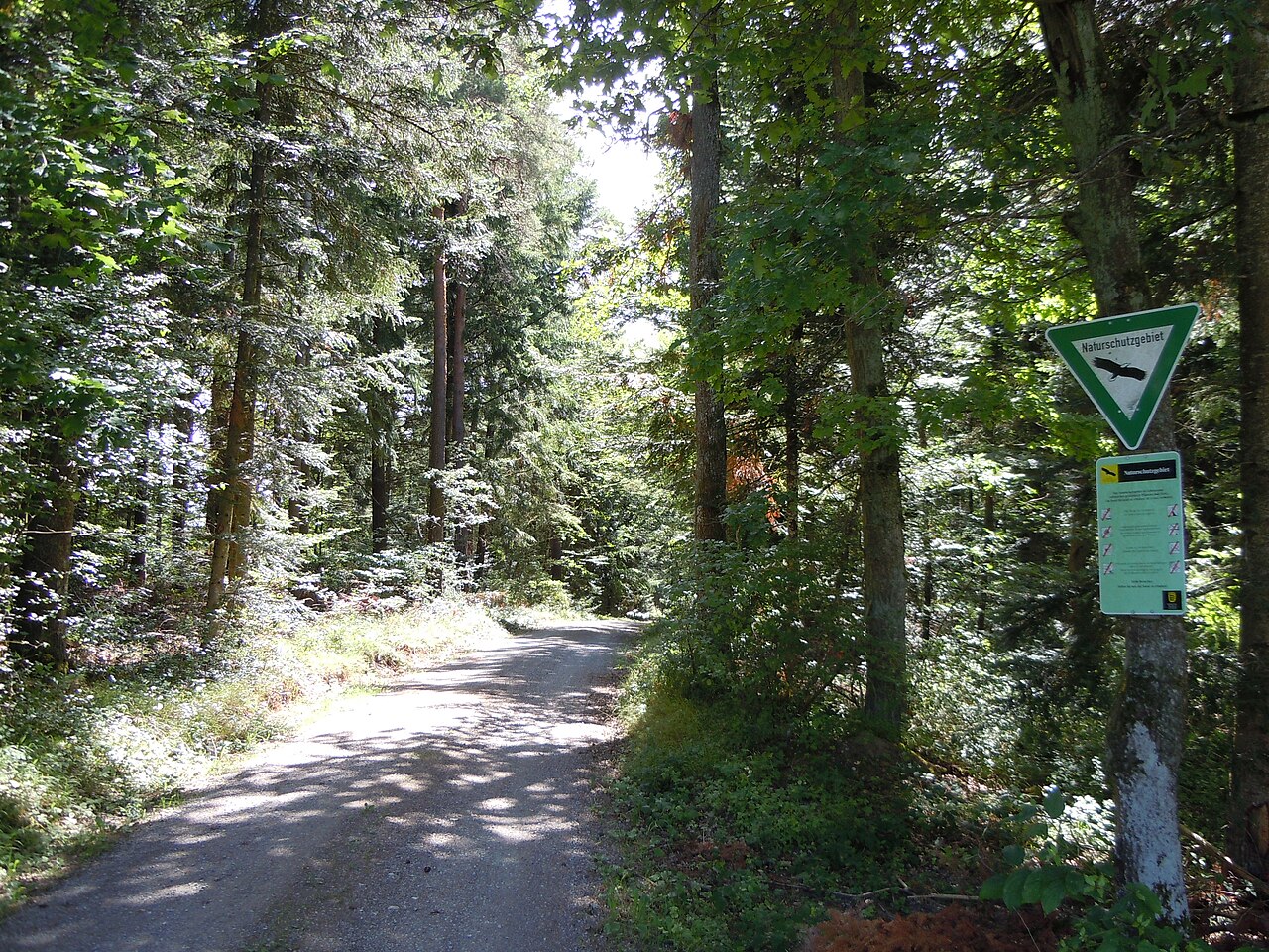 Waldweg im NSG Staufen aus Richtung Walddorf (Altensteig) kommend