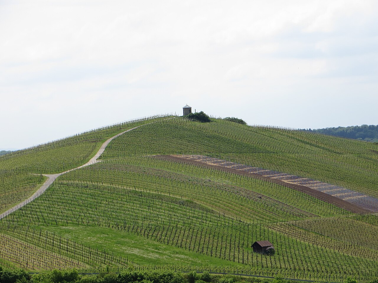 Der Staufenberg in Heilbronn-Sontheim vom Schweinsberg aus fotografiert