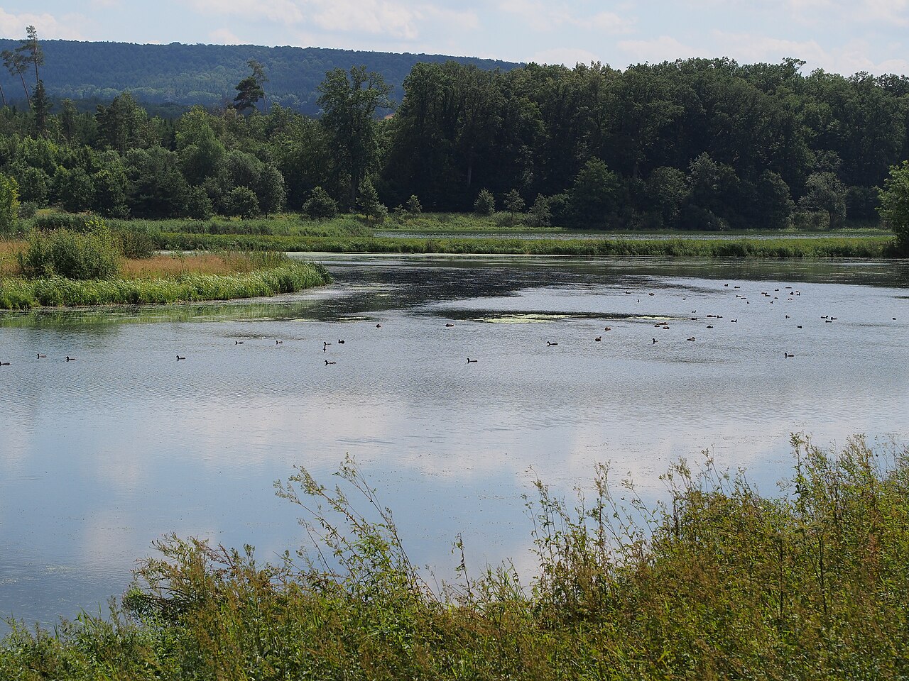 "Stockmühle" dam lake with near-natural islands and shores