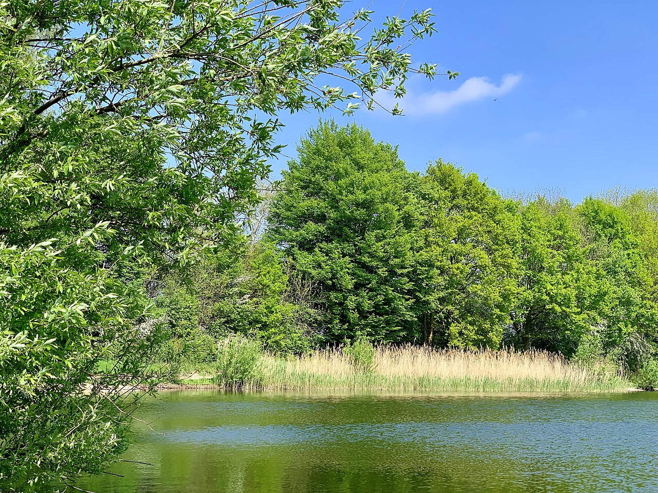 Foto von Staustufe Schlüsselburg