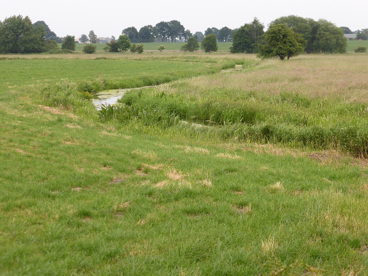 Boundary river Delvenau between the German federate states Schleswig-Holstein and Mecklenburg-Vorpommern