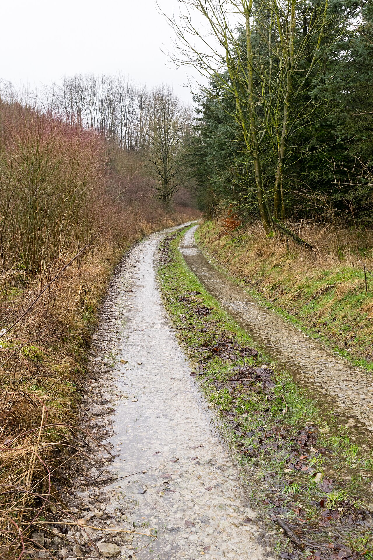 Foto von Steinbeke (Nebenquelle)
