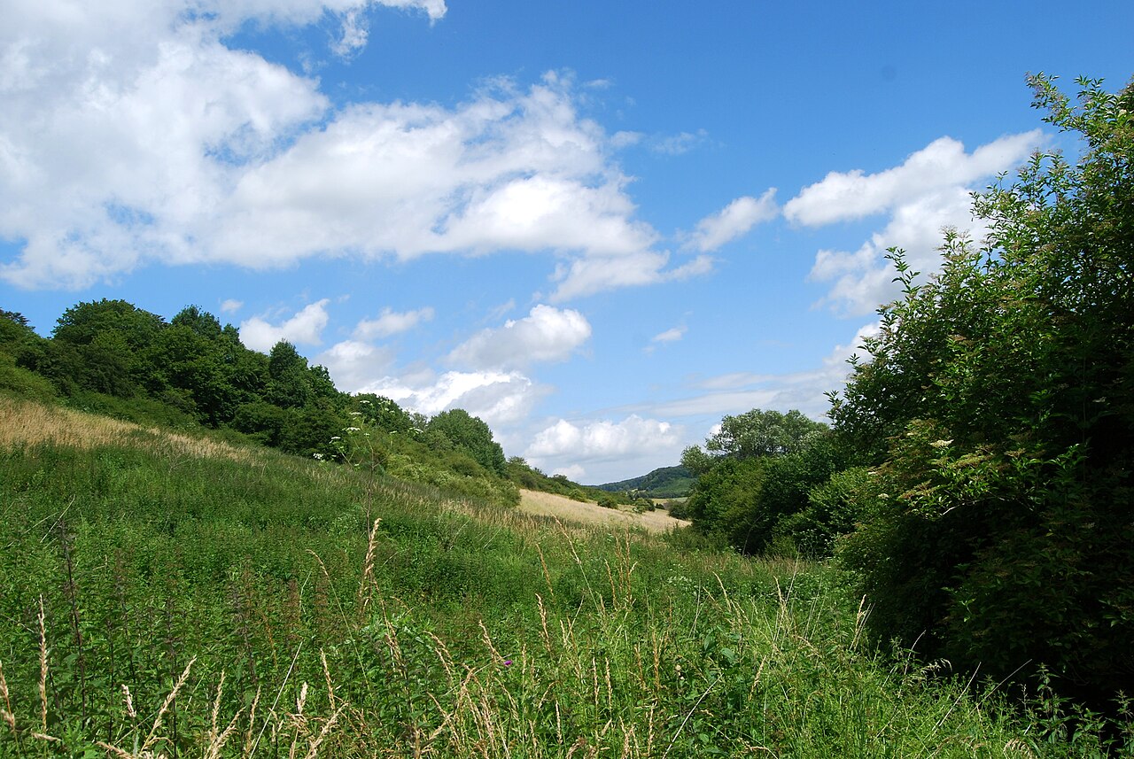 Naturschutzgebiet Steinberg bei Wesseln